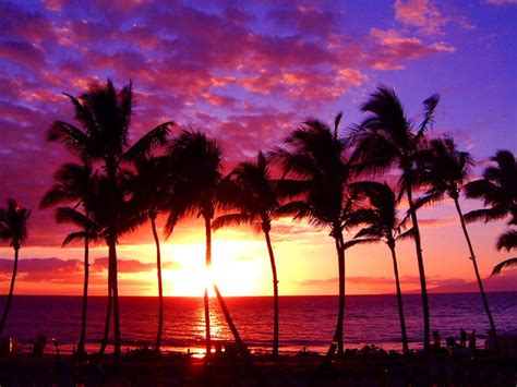 68 Hawaii Sunset Wallpaper