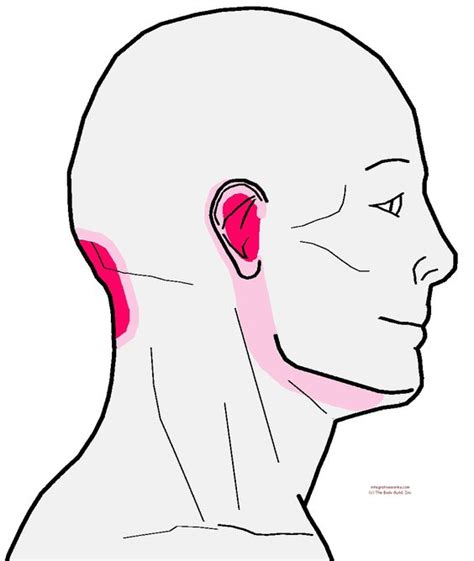Understanding Trigger Points Pain In The Base Of The Head With
