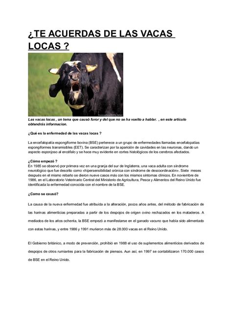 Ausdrücken Reifen Gewähren Las Vacas Locas Origen übersehen Regulieren