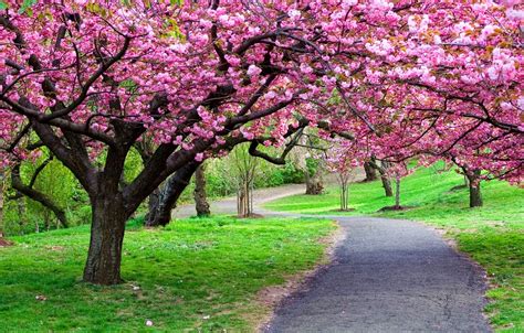 Never Enough Gratitude The Most Beautiful Sign Of Spring