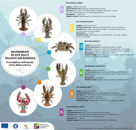 Infografice Specii Invazive Managementul Speciilor Invazive Din Rom Nia