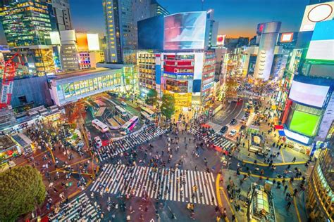 Top View Of Shibuya Crossing At Twilight In Tokyo Stock Photo Image