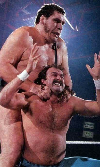 Andre The Giant Vs Jake The Snake Roberts Jake The Snake Roberts