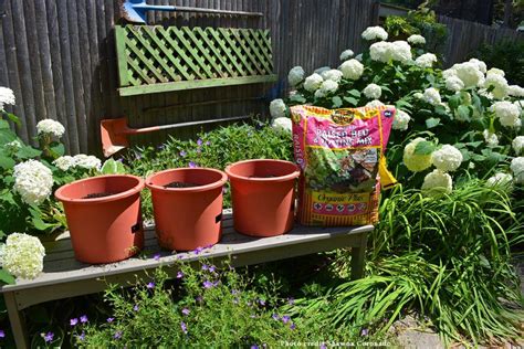 How To Plant A Tomato In A Container Garden Kellogg