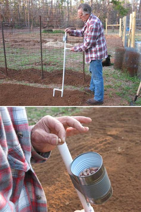 Best 20 Low Cost Diy Pvc Pipe Projects For Your Garden Gardening Viral