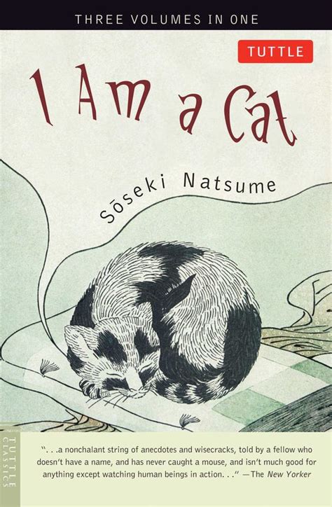 5 Must Read Fiction Books Featuring Cats Bookglow