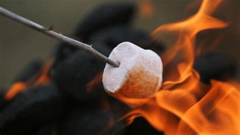 The 7 Best Marshmallow Roasting Sticks 2020 Reviews And Buying Guide