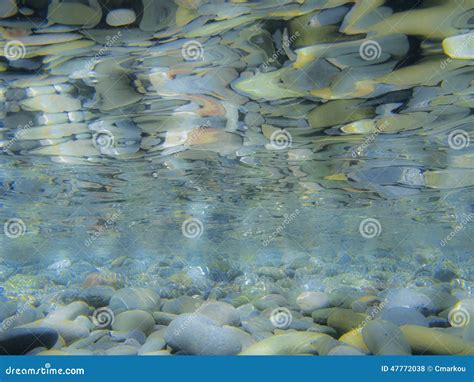 Underwater Reflection Stock Photo Image Of Break Pebbles 47772038