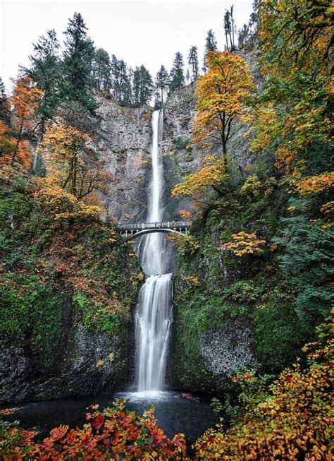 Multnomah Falls Autumn Photograph By Wes And Dotty Weber Fine Art America