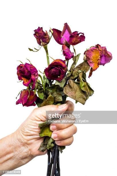 Withered Hand Photos And Premium High Res Pictures Getty Images