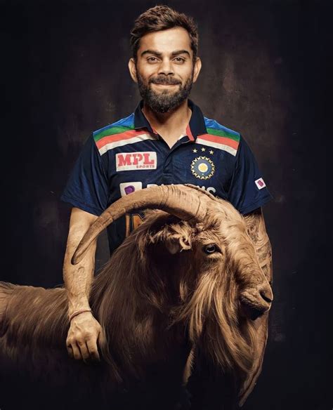 Goat In Virat Kohli Twitter Trending Goats