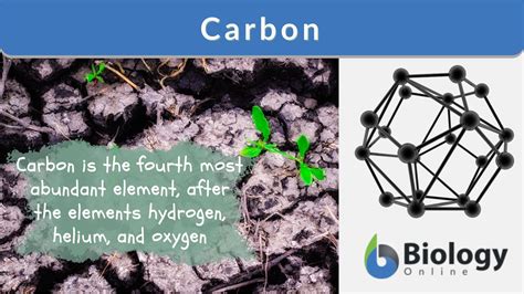 Carbon Definition And Examples Biology Online Dictionary