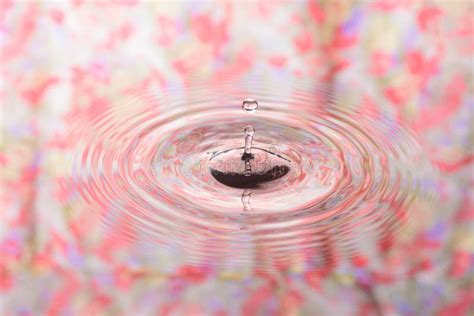 Pastel Flower Pattern Of Water Reflection And Water Drop Stock Image