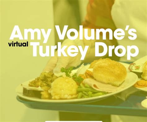 Amy Volume Diy Fundraising