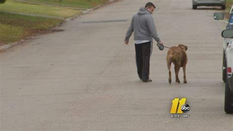 Raleigh City Council To Look At Dangerous Dog Ordinance Abc11