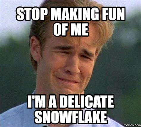 The Best Snowflake Memes And Responses — Steemit