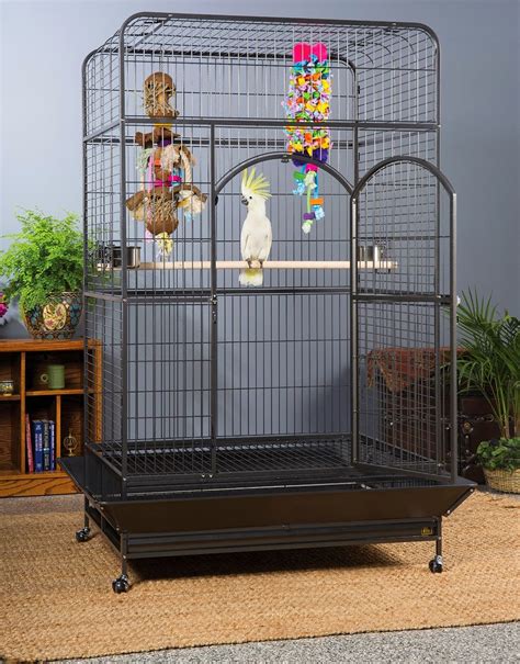 Extra Large Bird Cage Setup Ideas Spiffy Pet Products