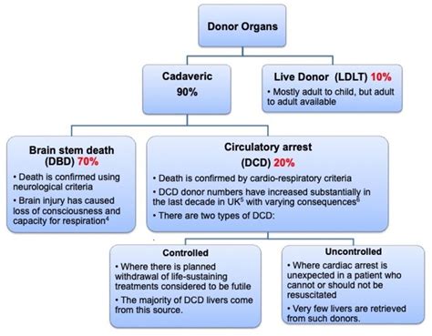 adult liver transplantation uk clinical guideline part 2 surgery and post operation