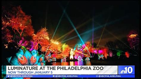 Philadelphia Zoo Revamped With A Light Display Nbc10 Philadelphia