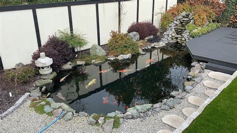 Beautiful Japanese Style Koi Pond In The Uk Youtube Koi Pond Koi