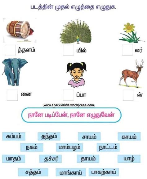 Sample Tamil Worksheets Worksheets Samples