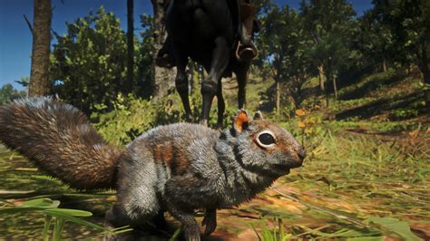 September 10 red dead online daily challenges today. The detail on this random squirrel in Red Dead Redemption ...