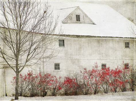 If I Was An Owl This Would Be My Home In This Nice Cozy White Barn