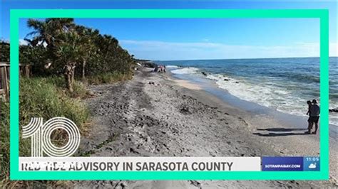 Red Tide Advisory In Sarasota County Impacting Beachgoers YouTube