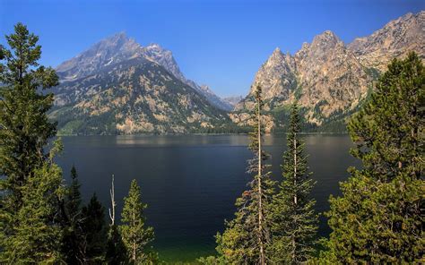 Grand Teton National Park Jenny Lake Lake Mountains Trees Landscape