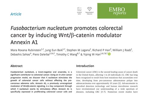 Fusobacterium Nucleatum Promotes Colorectal Cancer By Inducing Wntβ