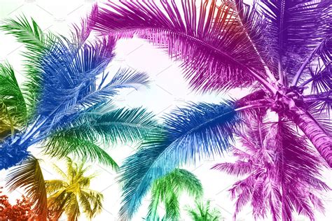 Rainbow Colored Palm Trees On White Nature Stock Photos Creative Market