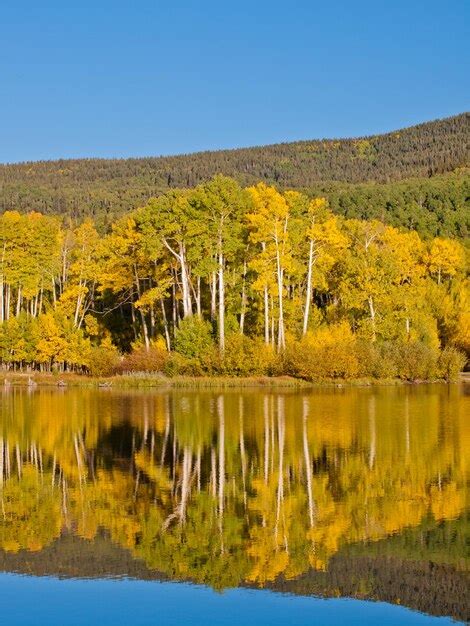 Premium Photo Autumn In Perfect Reflection Of Woods Lake Colorado