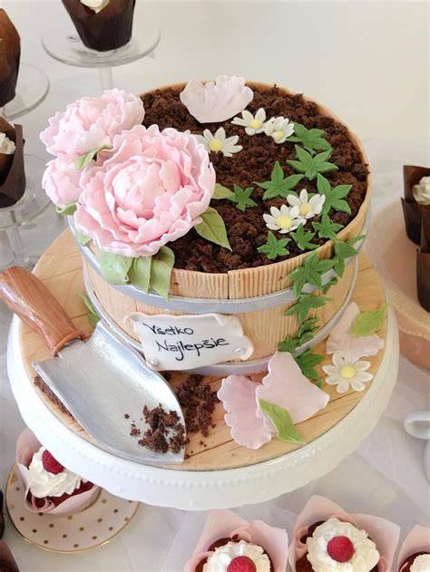 Flower Pot Cake Decorated Cake By Sweet Architect Cakesdecor