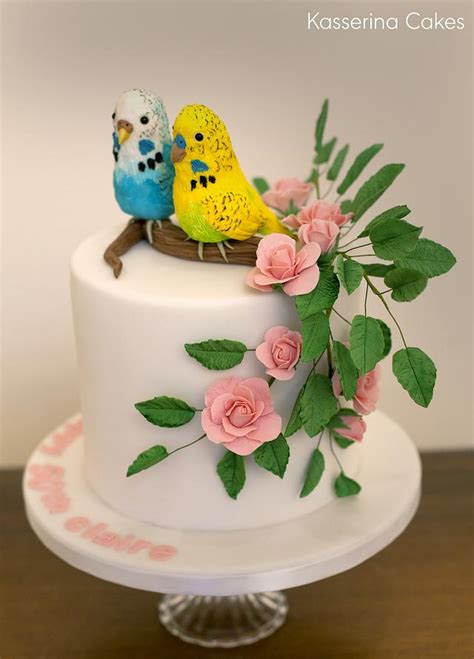 Budgie Birthday Cake Decorated Cake By Kasserina Cakes Cakesdecor