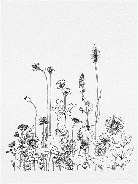 Pin By Estefania On Drawing Wildflower Drawing Art Prints Framed