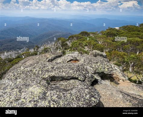 Alpine National Park Victoria Australia Stock Photo Alamy