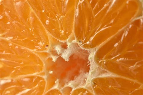 Closeup Of Sliced Oranges Stock Photo Image Of Food 63090116