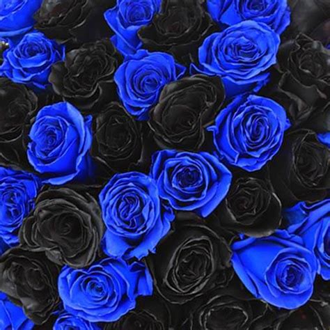 Blue And Black Roses Are Arranged Together