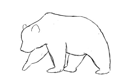 The Gallery For Grizzly Bear Drawings Realistic