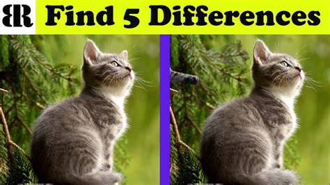 Find The Difference Spot 5 Differences Can You Find All The