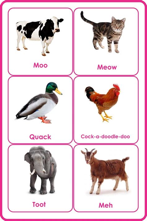 Animals Flashcards Animals And Their Sounds Their Babies