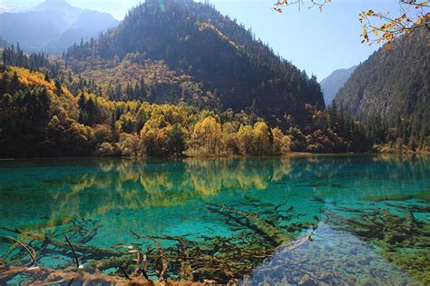 Turquoise Lake And Green Forest With Mountains Wall Mural