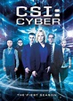 Download CSI Cyber S02 1080p AMZN WEBRIP DDP5 1 x264-TEPES - WatchSoMuch