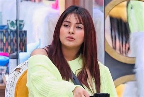 Bigg Boss 13 Shehnaz Gill Will Soon Be In A New Reality Show Entertainment News Amar Ujala
