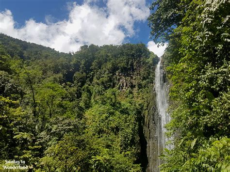 Carbet Falls In Guadeloupe The Caribbean Jungle Trail Review