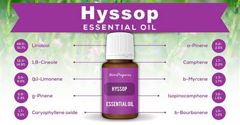 Several essential oils contain properties that can help ease different symptoms of a sinus infection. Hyssop Essential Oil - The Complete Uses and Benefits ...