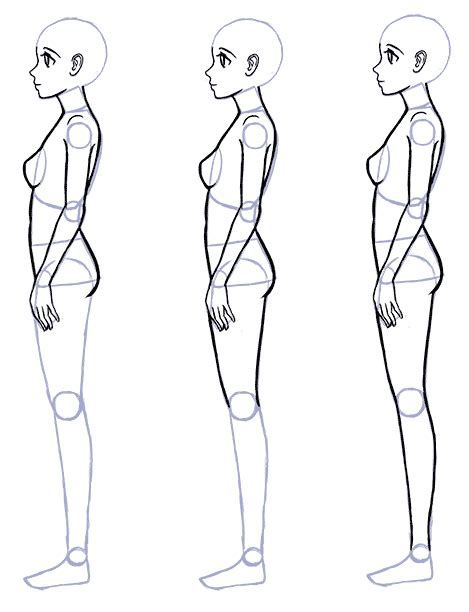 Drawing Body Proportions Body Base Drawing Figure Drawing Reference