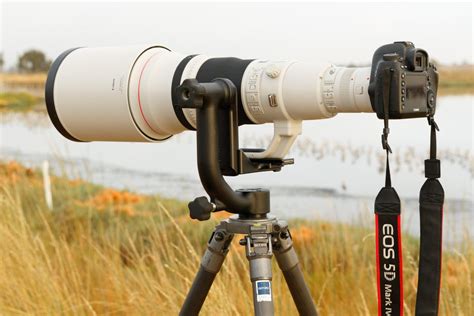 How Birdwatching Looks With Todays Technology Cnet