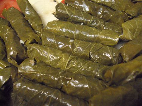 The Muslim Wifes Kitchen Grape Leaves Aka My Most Favorite Food Ever
