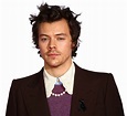 Harry Styles PNG High Quality Image | PNG All